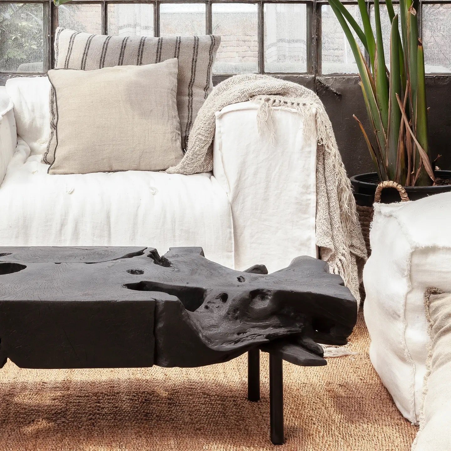 TABLE BASSE ROOTS